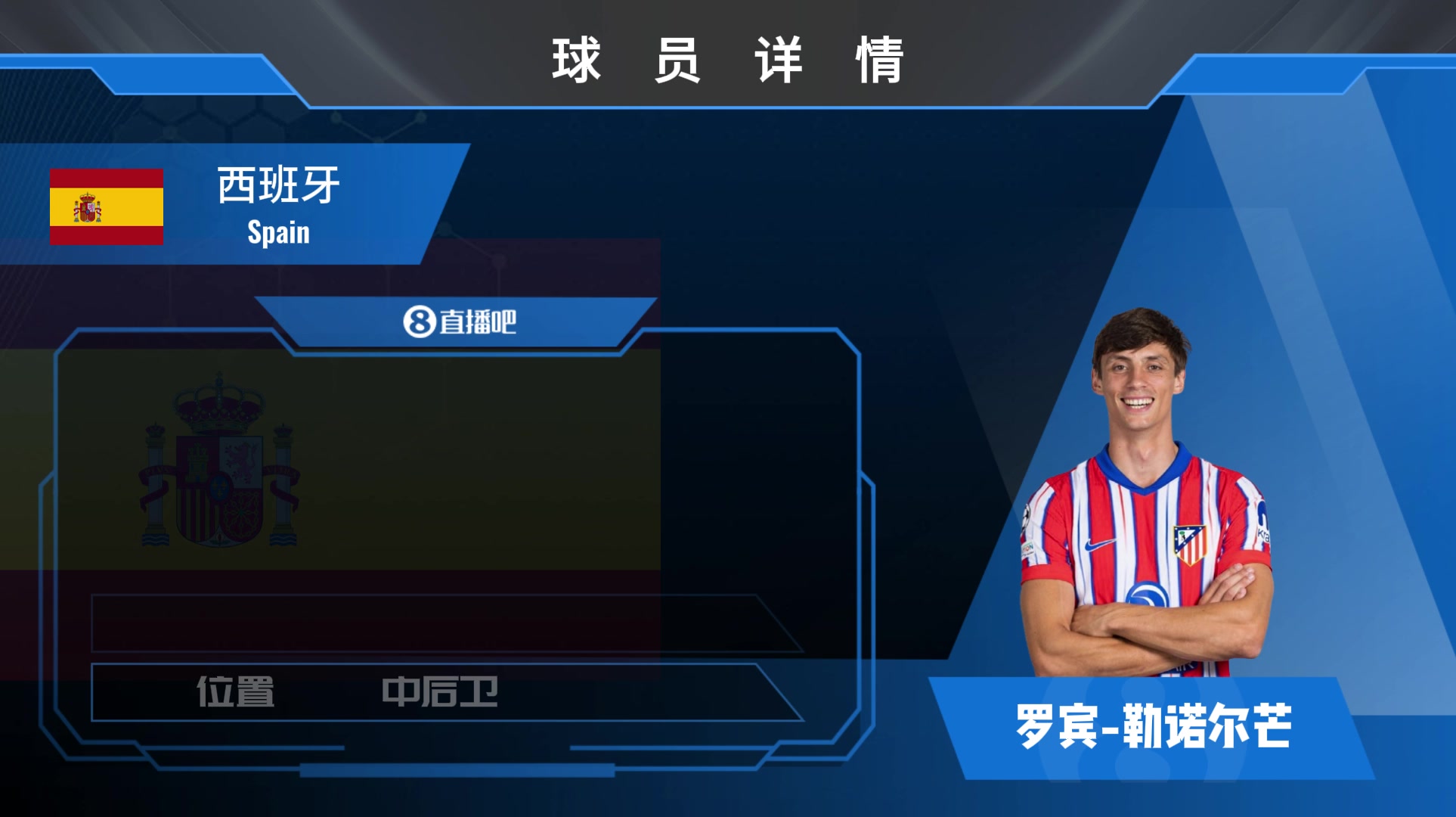球员集锦西班牙国家队
